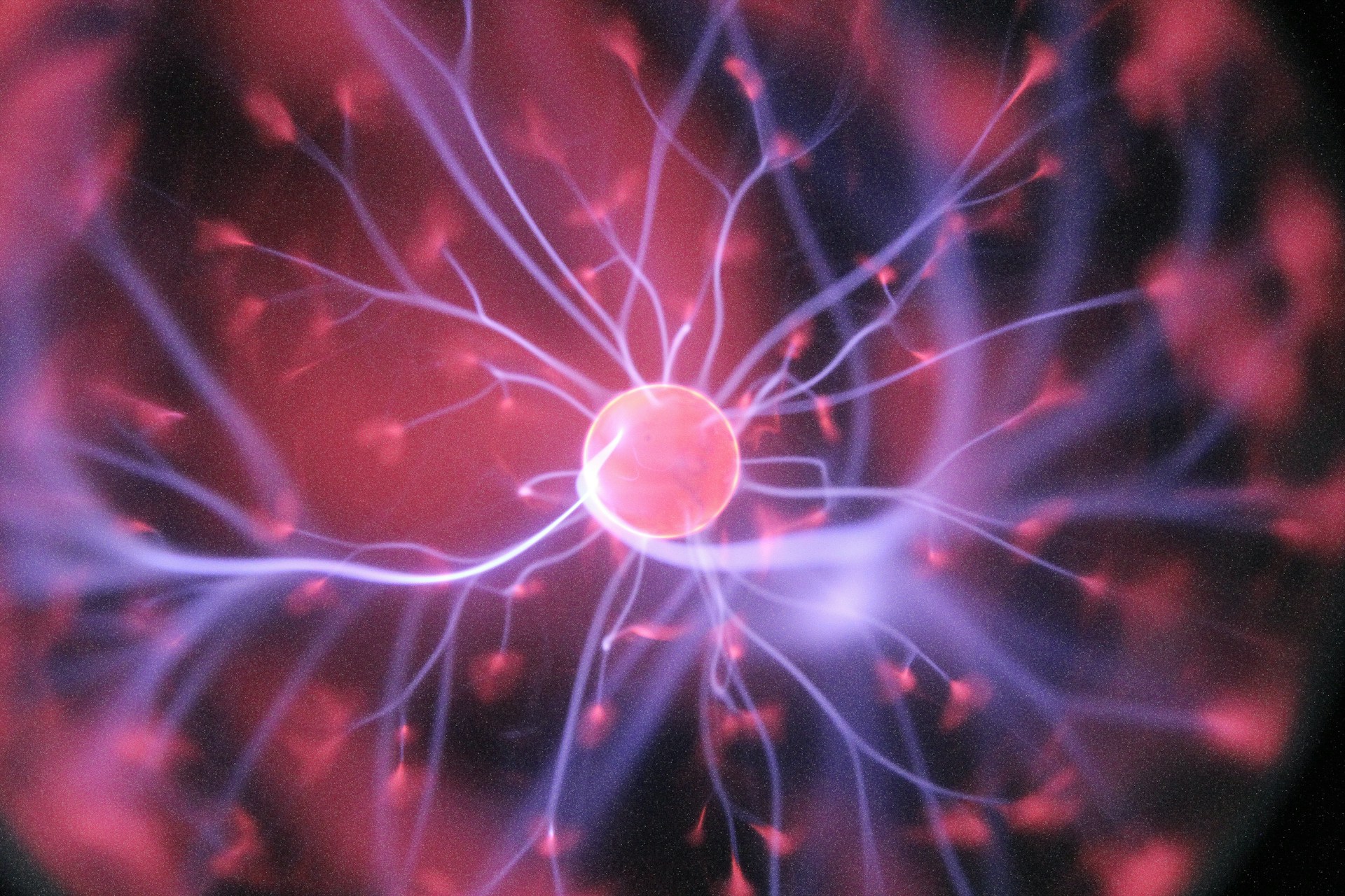 Sparx Science launches AI-powered tools to transform STEM education, boosting student engagement, personalized learning, and academic performance